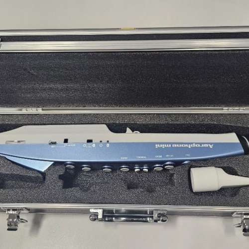 Roland 電吹管 AE-01