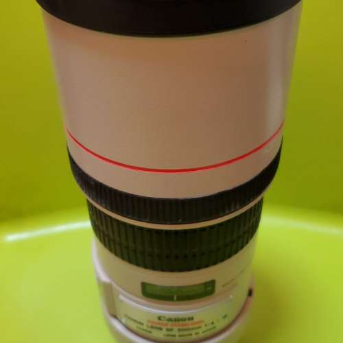 Canon EF 300mm f/4L IS USM