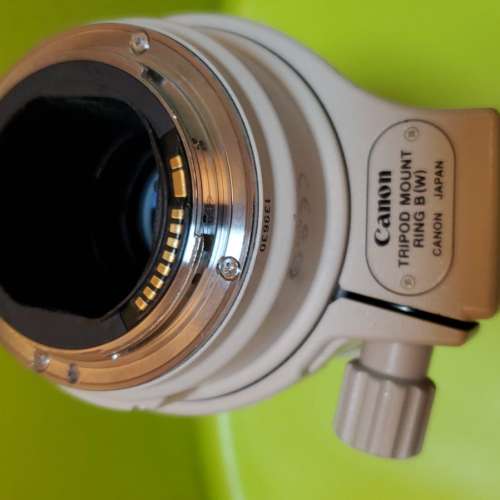 Canon EF 300mm f/4L IS USM