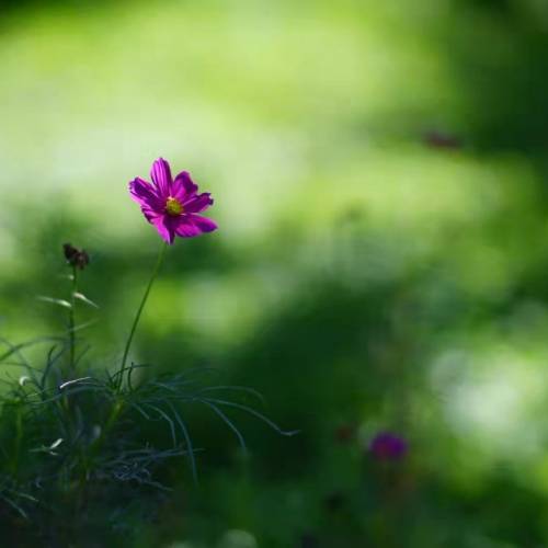 JF35 120mm f1.9 電影放映鏡頭