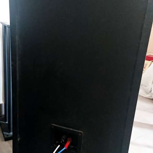 *(已售出)美製AR TSW610B 12寸座地大喇叭 Sold