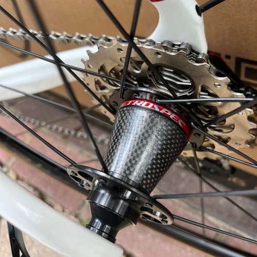 RS 碳纖維輪組 騅特 TW THUNDER RS 22速 C剎 碳纖維 公路車 送水架前後蛙燈