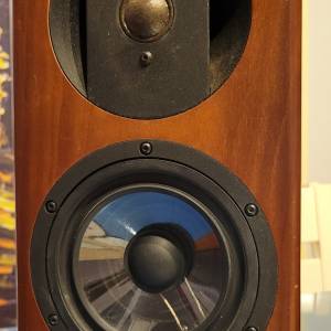 Vienna acoustics Haydn Grand Speaker