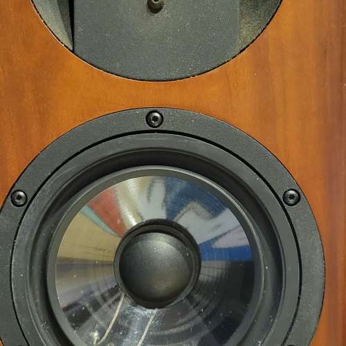 Vienna acoustics Haydn Grand Speaker