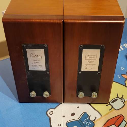 Vienna acoustics Haydn Grand Speaker