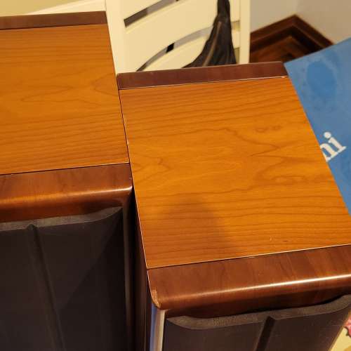 Vienna acoustics Haydn Grand Speaker