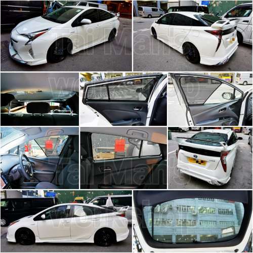 PRIUS 全車磁石濾光窗網