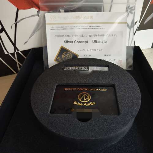 Brise Audio Silver Concept 4 wires（4.4mm 2 pin)