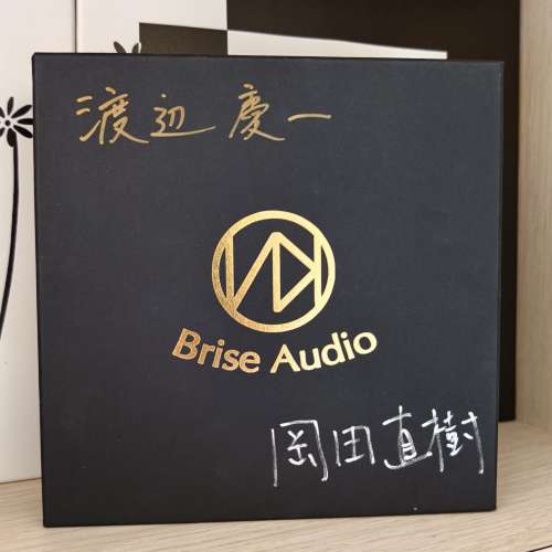 Brise Audio Silver Concept 4 wires（4.4mm 2 pin)