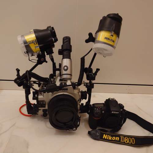 潛水影相機 Nikon D800E
