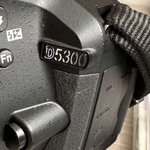 Nikon D5300 + 鏡頭 + 閃燈 + 腳架