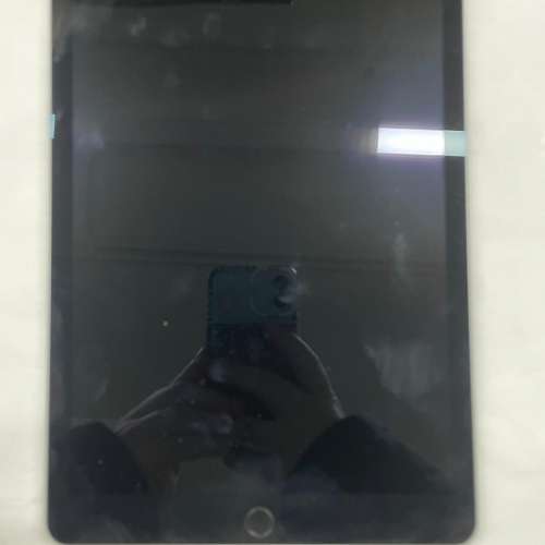 Ipad pro 256G (wifi + lte) 可插數據卡