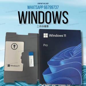 Microsoft Windows 10 win10 Windows 11 Win11 專業版家 用版企業版 Professional ...