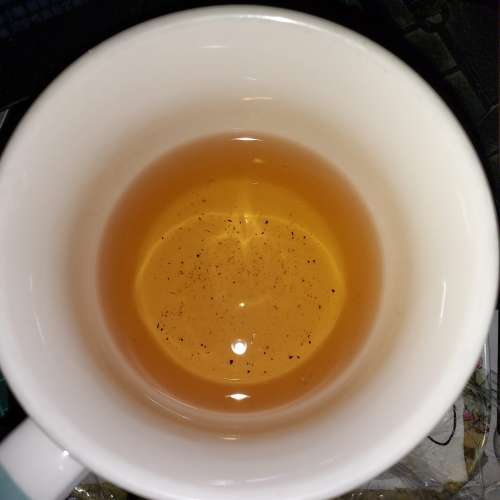 2018一級安茶祁門安茶正宗公孫順安茶  $100