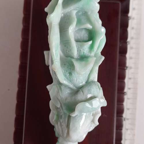 翡翠A玉 約六吋發財大白菜擺件，有色好工，配上名貴雕刻紅木座。，no.28.2.24.