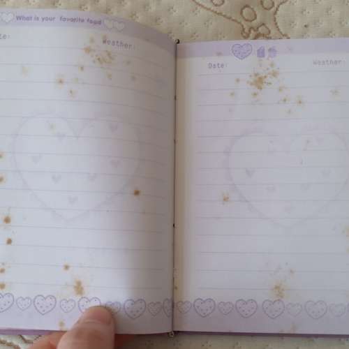 全新日記簿 筆記簿 記事簿 (有污漬)