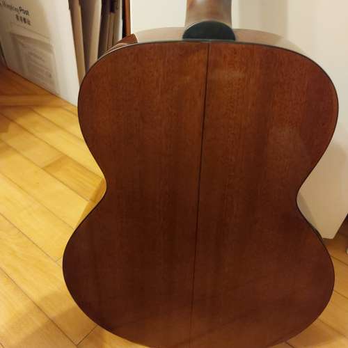 結他Takamine  D series