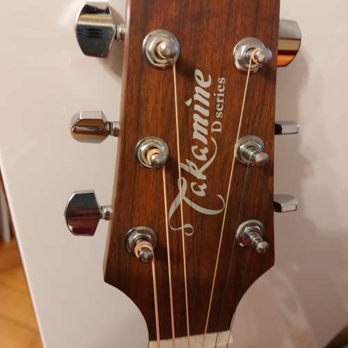 結他Takamine  D series