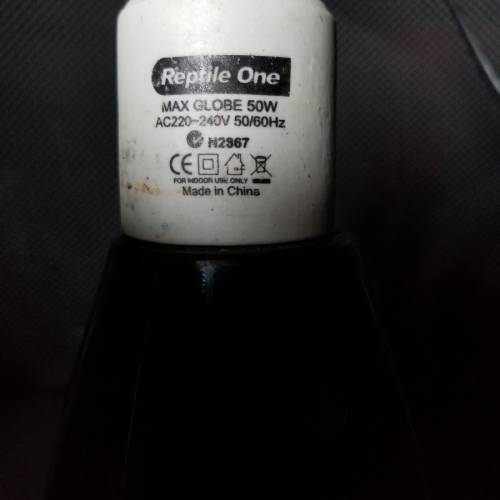 爬蟲暖燈