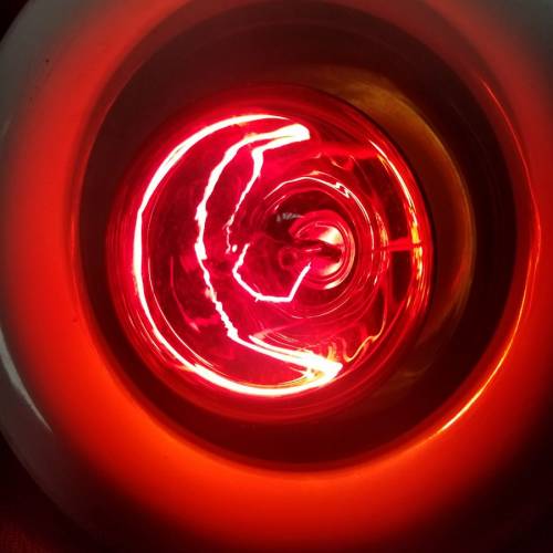 爬蟲暖燈 夜燈  (燈膽)