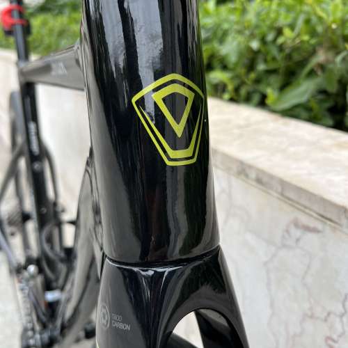 JAVA (魚雷6) SILURO 6 22s 碟剎 碳叉 鋁合金公路車 送水架前後蛙燈