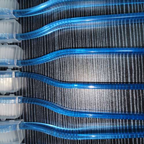 塑膠 牙刷 旅行 移民 Plastic Toothbrush **5支pcs=$10, 10支pcs=$15, 20支pcs=$20...