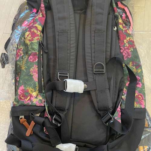 全新現貨 🎈Gregory 30L MIGHTY Day Classic DAY GARDEN TAP 綠花