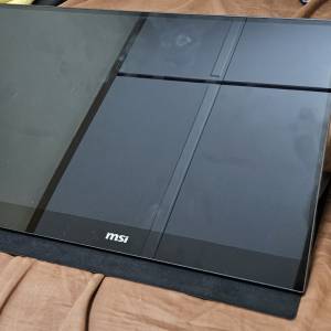 MSI MAG161V