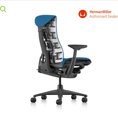 Herman Miller Embody Chair