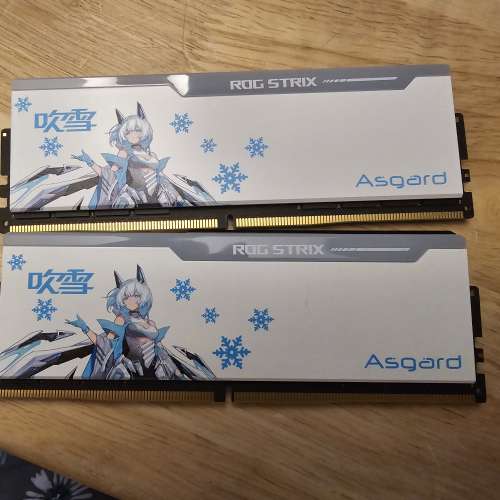 阿斯加特 asgard 吹雪 2x32gb 6400hmz ddr5