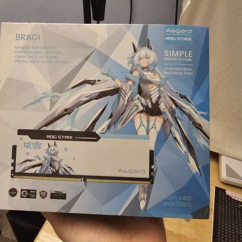 阿斯加特 asgard 吹雪 2x32gb 6400hmz ddr5