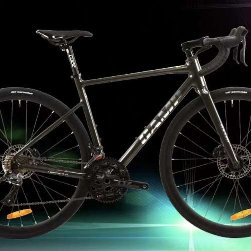 2024 CAMP RADON X 18速 桶軸碟剎 鋁合金公路車 送水架前後蛙燈