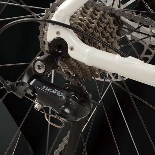 2024 CAMP RADON X 18速 桶軸碟剎 鋁合金公路車 送水架前後蛙燈