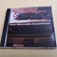 GIN BLOSSOMS NEW MISERABLE EXPERIENCE 美版