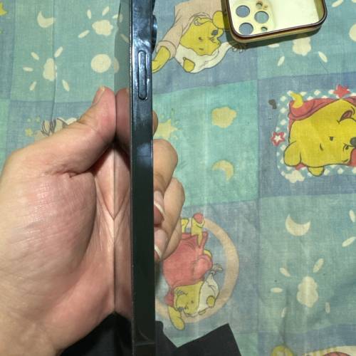 12 pro max 256gb 港版