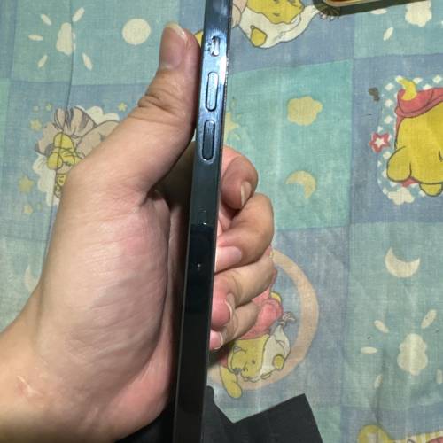 12 pro max 256gb 港版