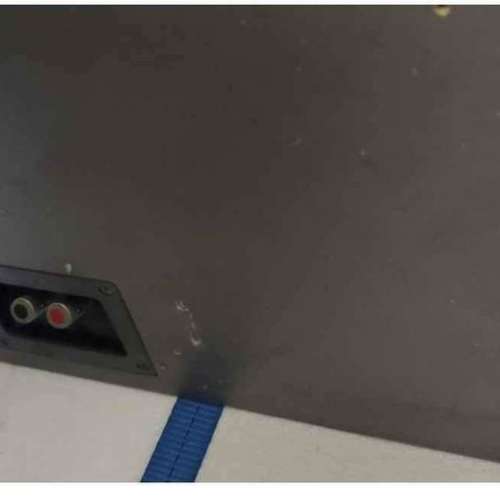 Focal 10寸 Subwoofer