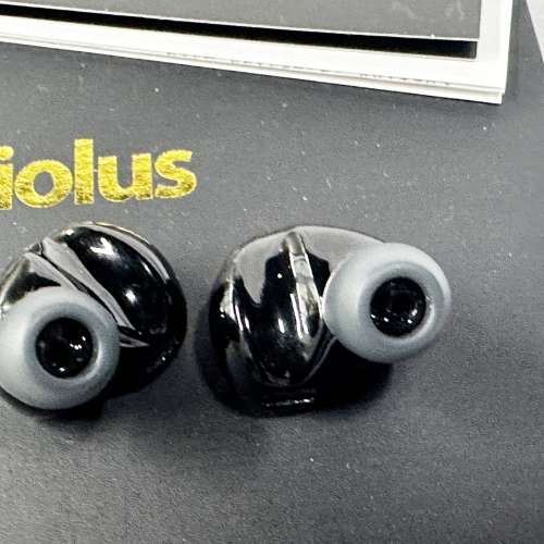 Oriolus Forsteni 灰黃鸝