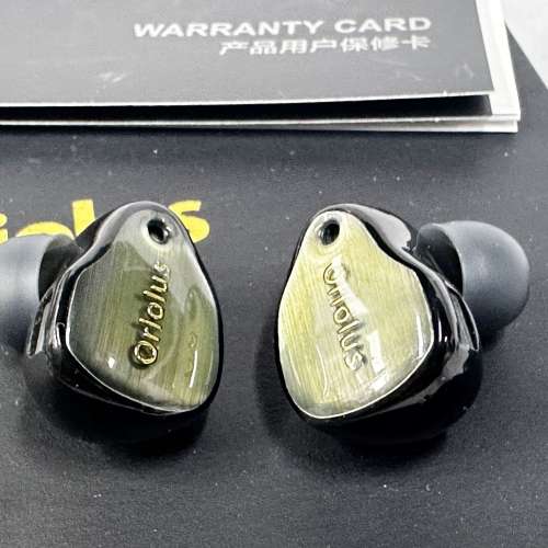 Oriolus Forsteni 灰黃鸝