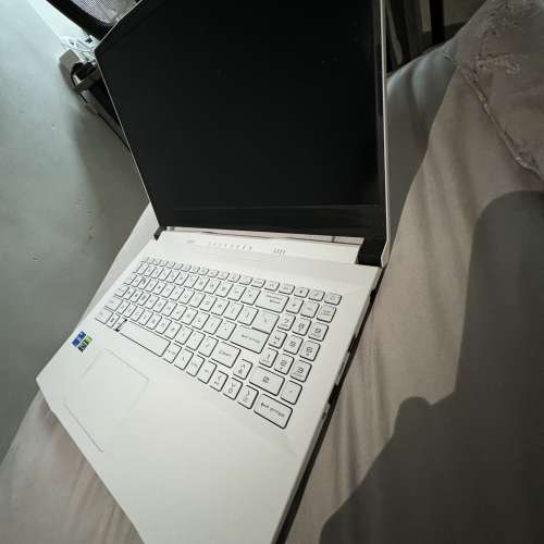 MSI SWORD 15 A11UD