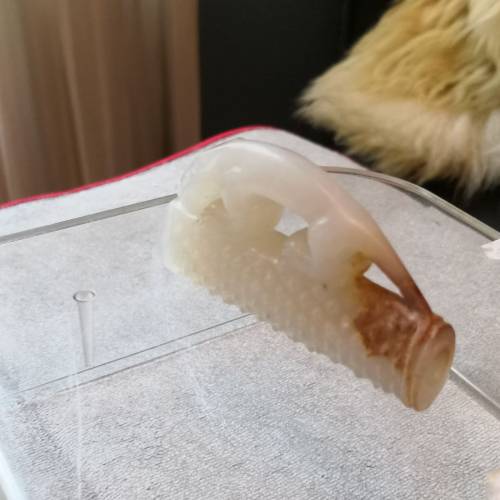 漢白玉琮連虎，59x33x11 mm，附証書