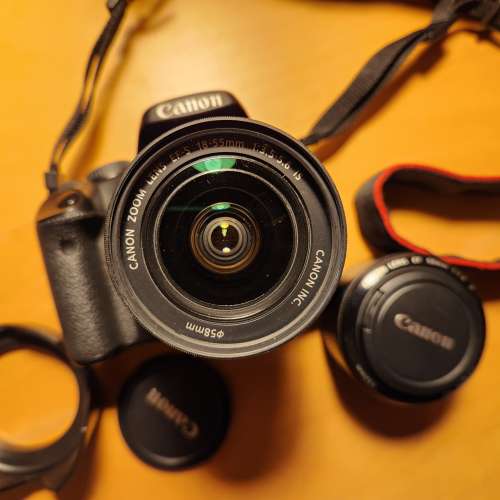 Canon 450D kit lens + 50mm f1.8 II