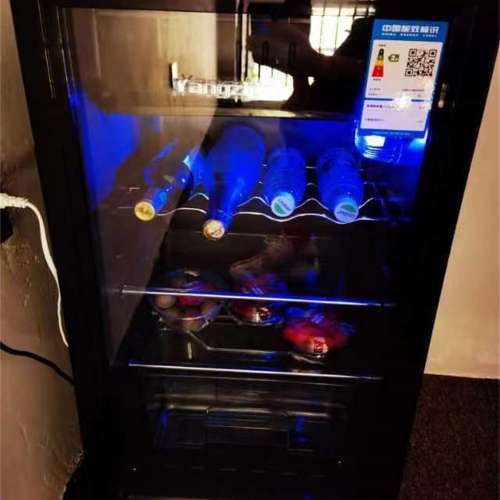 雪櫃冰吧家用冷藏冰櫃