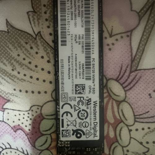 Western Digital 256gb SSD M2