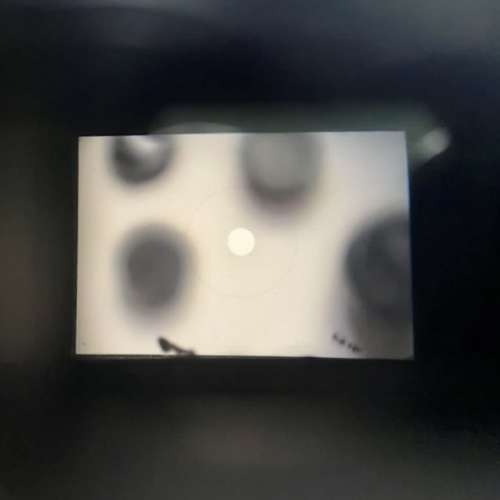 Nikon F2 Black paint+ Nikon AF NIKKOR 24mm f2.8