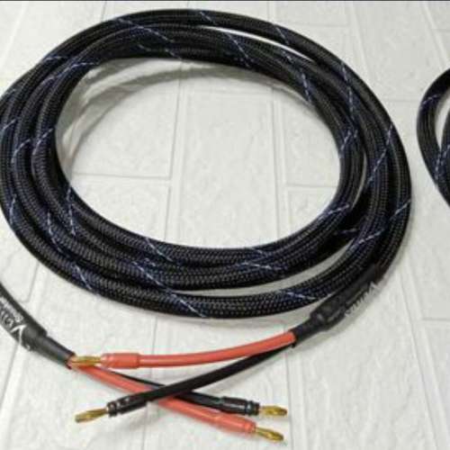 Venus speaker cable 4米長蕉插