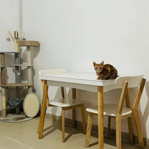 新的Slate dining table and chair set brand new 100cm