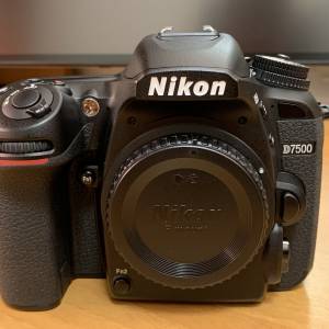 Nikon D7500 單反相機