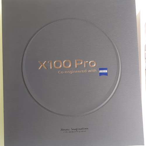 Vivo X100 Pro