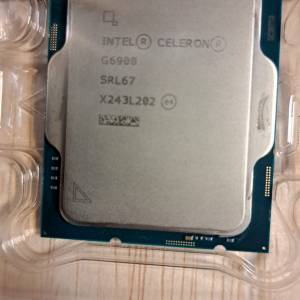 Intel G6900 CPU only
